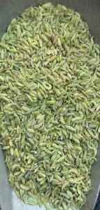 رازیانه وخواص آن