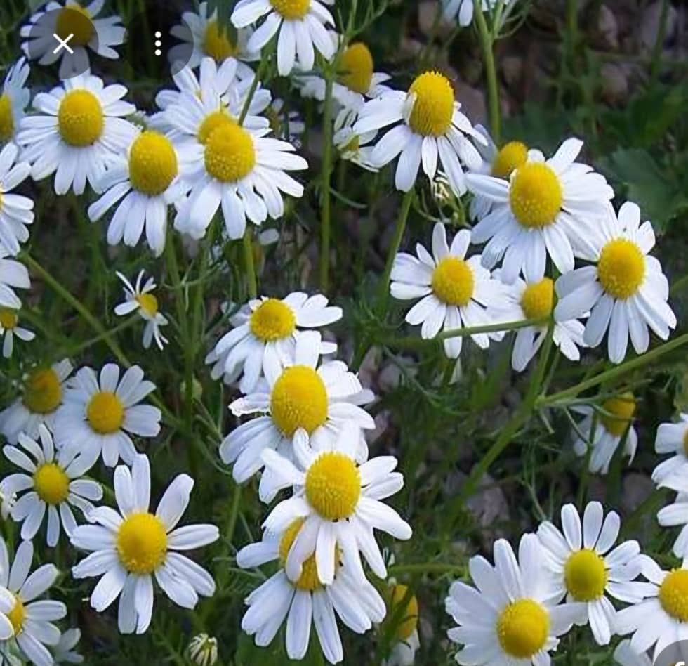 فروشگاه شما؛ کیفیتی که لمس می‌کنید